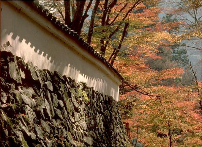 高山寺