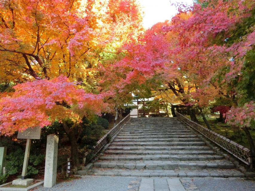 龍安寺