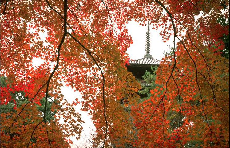 仁和寺