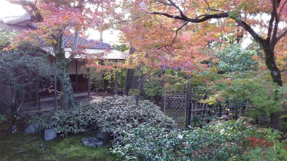 妙心寺大法院