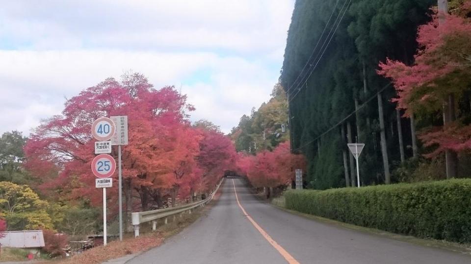 嵐山‐高雄パークウエイ