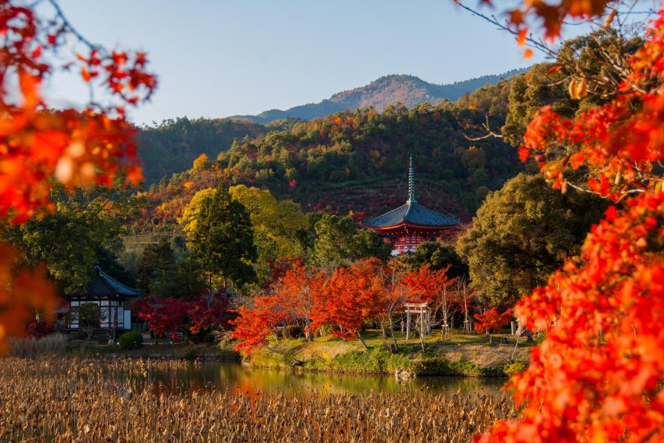 大覚寺