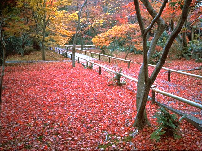 宝筐院