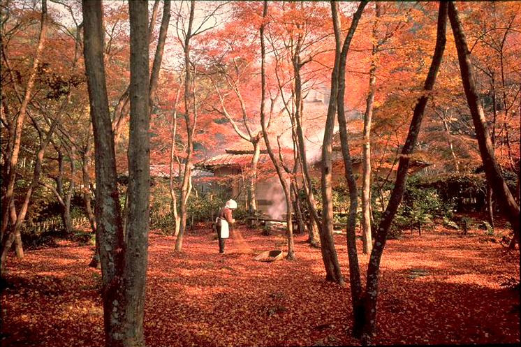 祇王寺