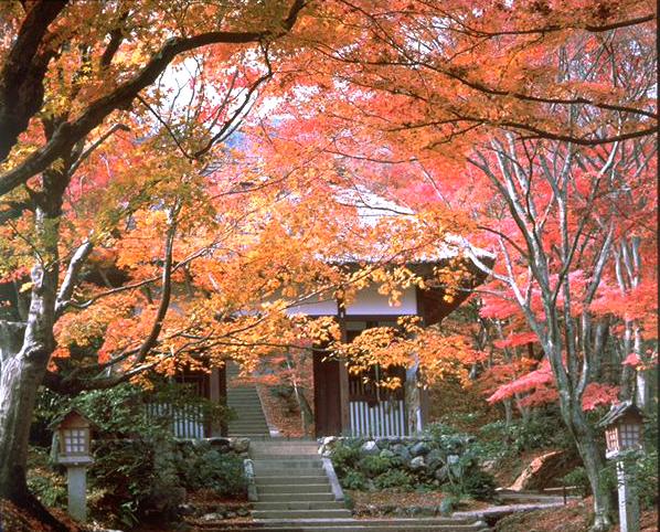 常寂光寺