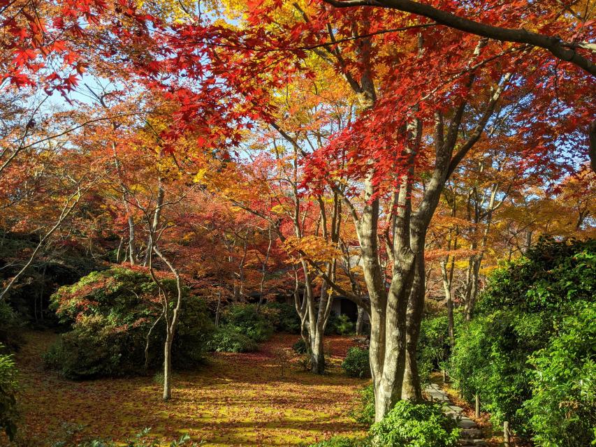 大河内山荘庭園