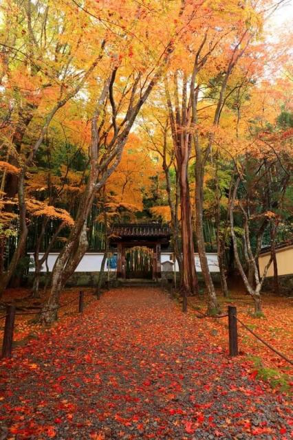 地蔵院（竹の寺）