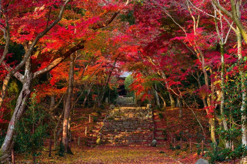 浄住寺