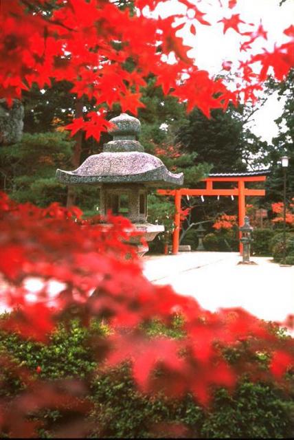 大原野神社