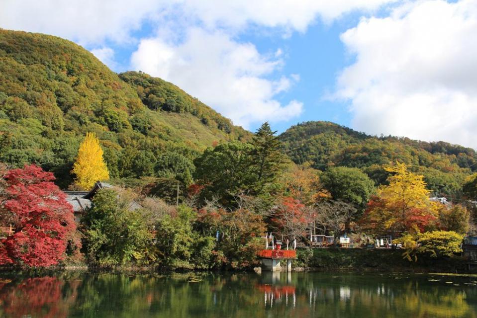 亀岡市　出雲大神宮