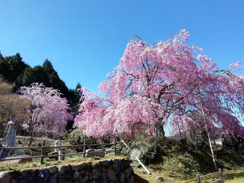 宝泉寺（京北）