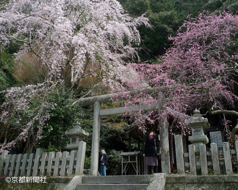 大豊神社