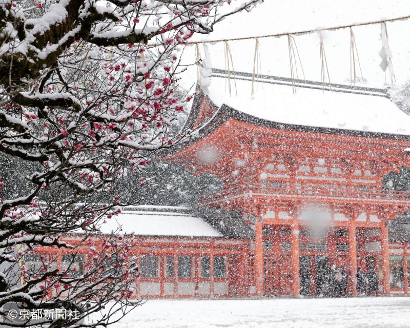 下鴨神社