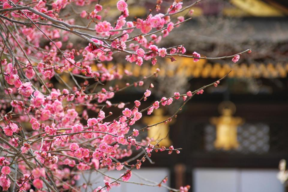 北野天満宮