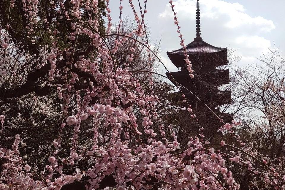 東寺