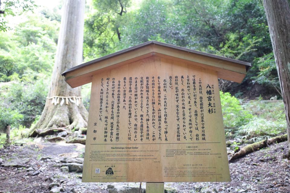 中川八幡宮社