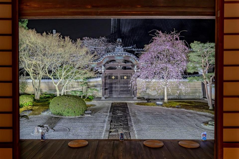 春の京都を彩る夜間特別拝観とライトアップ