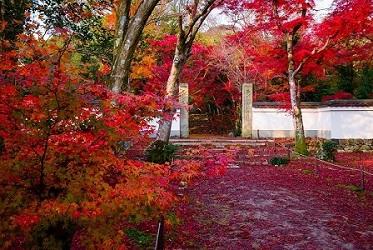 京都総合観光案内所（京なび）スタッフが教える 「この秋の京都観光 知っておきたい6つのポイント」