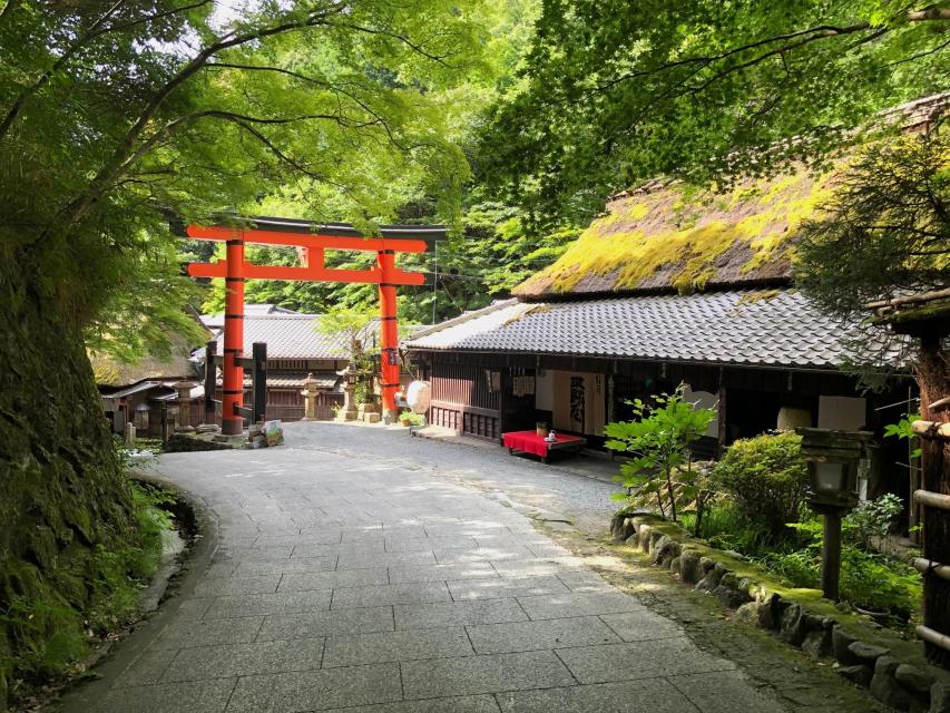 京都市ビジターズホストがおススメする 「夏におすすめひんやりスポット  ～早朝に歩く奥嵯峨・嵐山～」