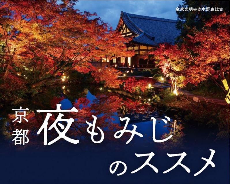京都 夜もみじのススメ  2022年 秋の夜間特別拝観・ライトアップ情報