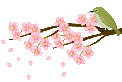 春の京都観光で知っておきたいこと2024バックアップ