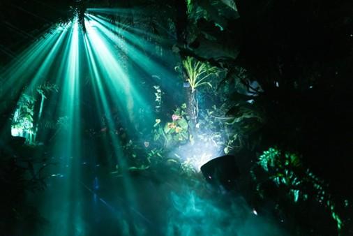 「LIGHT CYCLES KYOTO」～日本最古の植物園で夜間に出会う“光と呼吸”の体験～