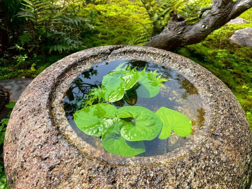 4月・5月の休館日につきまして　【旧三井家下鴨別邸】