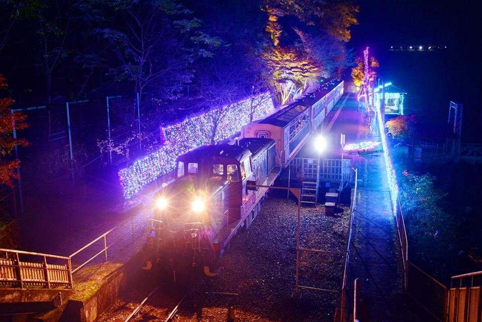 嵯峨野トロッコ列車「光の幻想列車」の楽しみ方