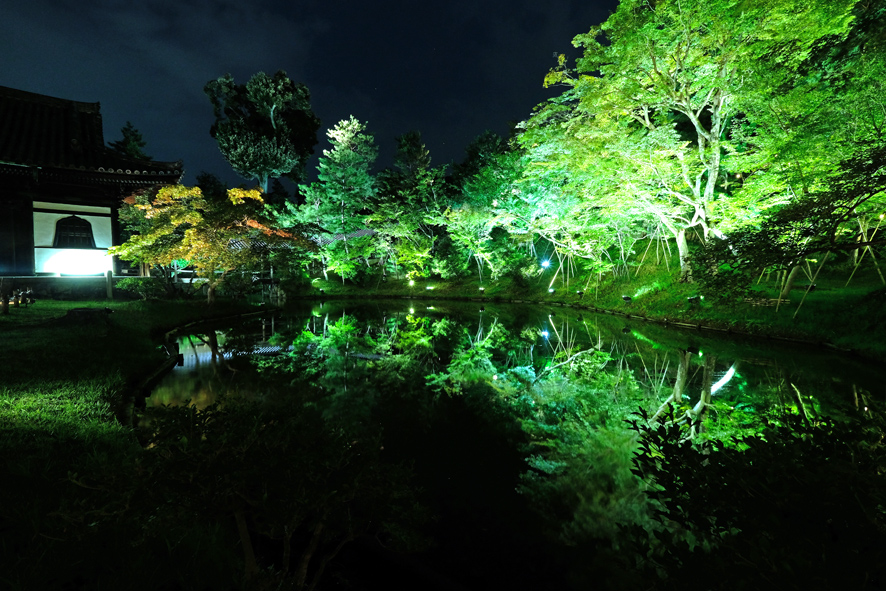 夏の夜の高台寺 イベント終了 京都市公式 京都観光navi