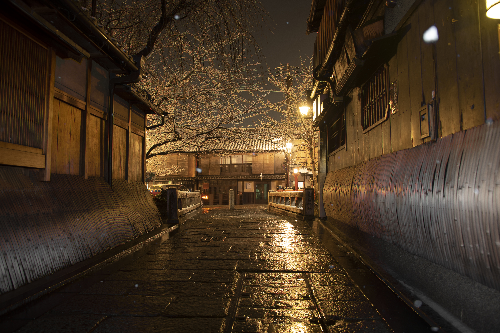 Kyoto Photo Spot 写真で楽しむ京都の夜 京都市公式 京都観光navi