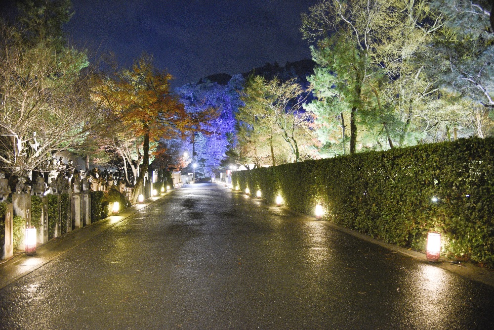 冬の夜に 京都 嵐山花灯路 を楽しむ 京都市公式 京都観光navi