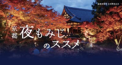 2022年 夜もみじのススメ