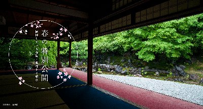 春の特別展・特別公開