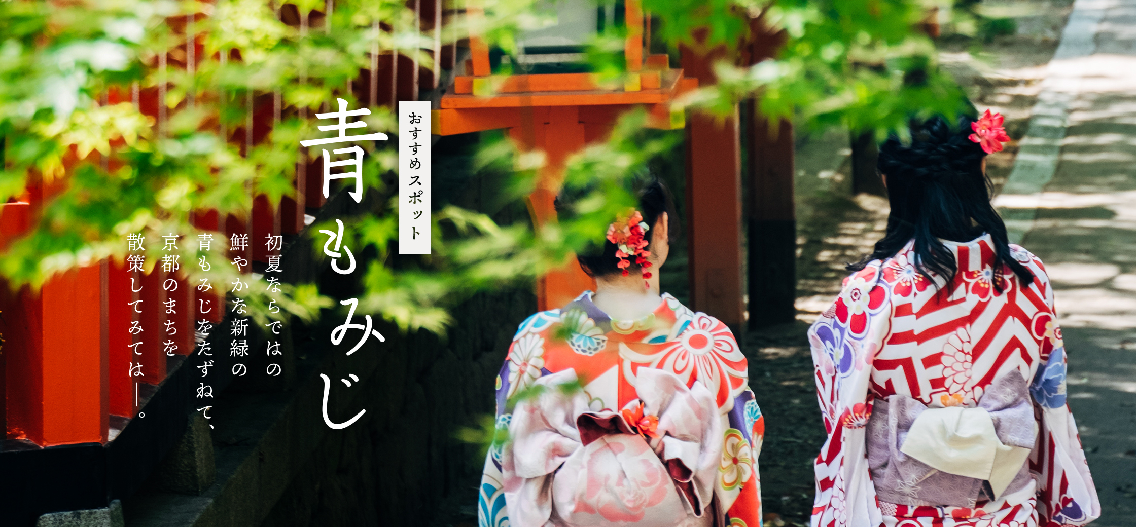 青もみじ2019
