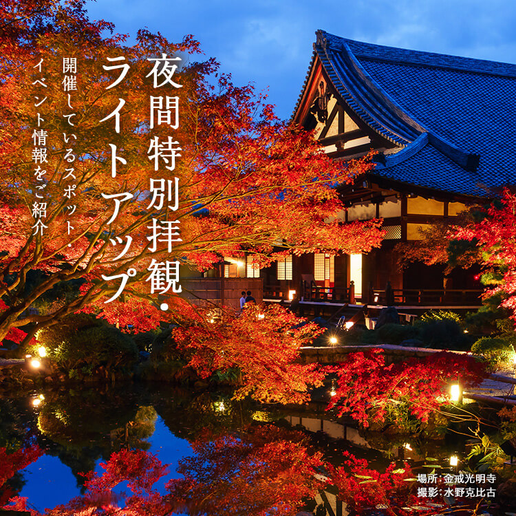 秋の夜間拝観・ライトアップ2019
