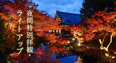 秋の夜間拝観・ライトアップ2023