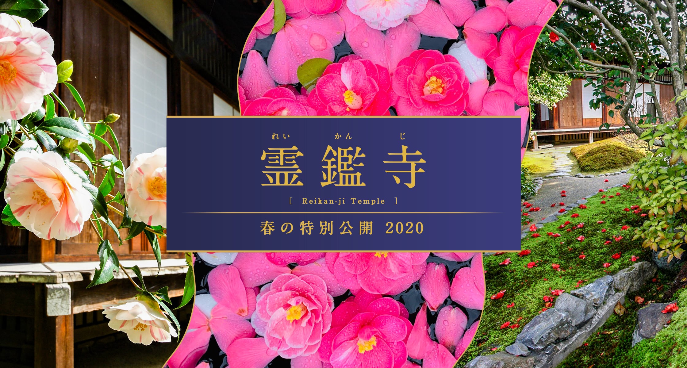 霊鑑寺春の特別公開2020