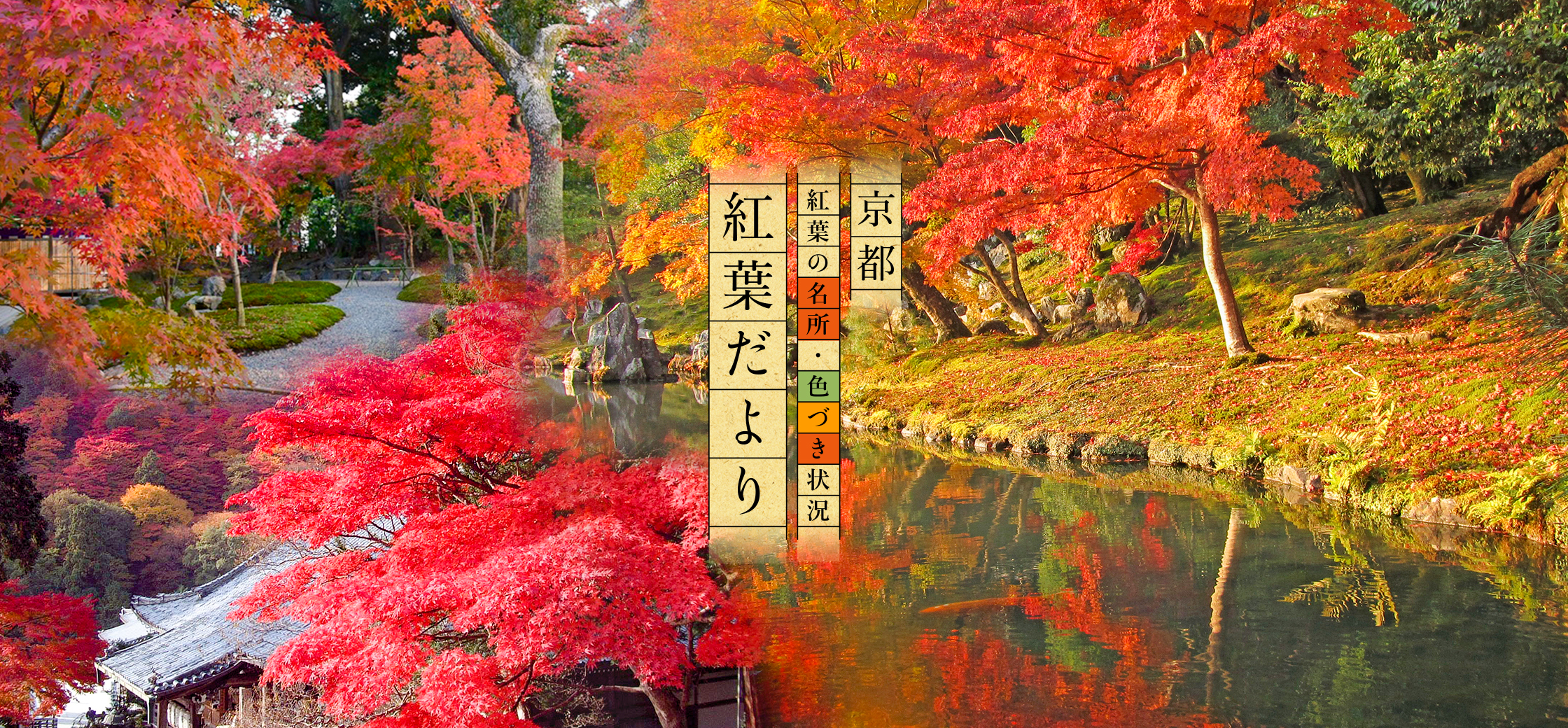 momiji_default