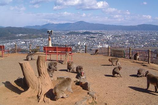 ©︎京都市メディア支援センター