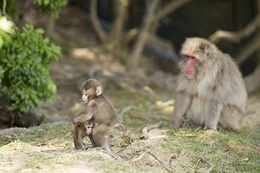 ©︎京都市メディア支援センター