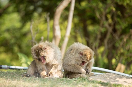©︎京都市メディア支援センター