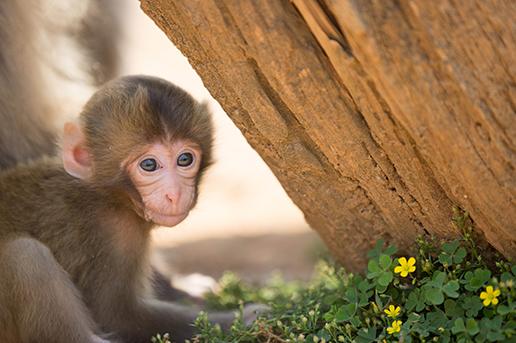 ©︎京都市メディア支援センター