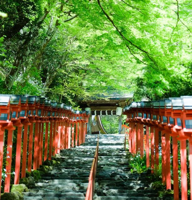 京都ママ活でおすすめのデートスポット・貴船神社の鳥居