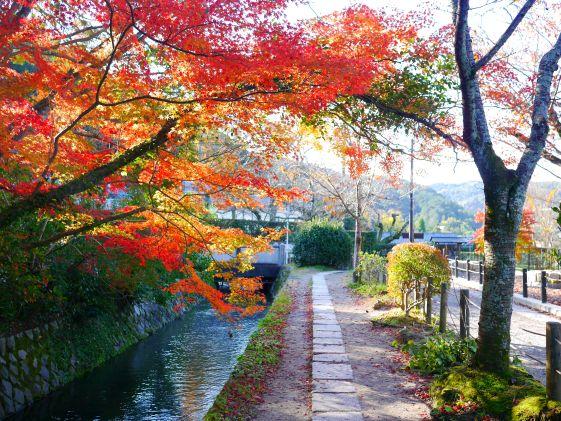 ©︎京都市メディア支援センター