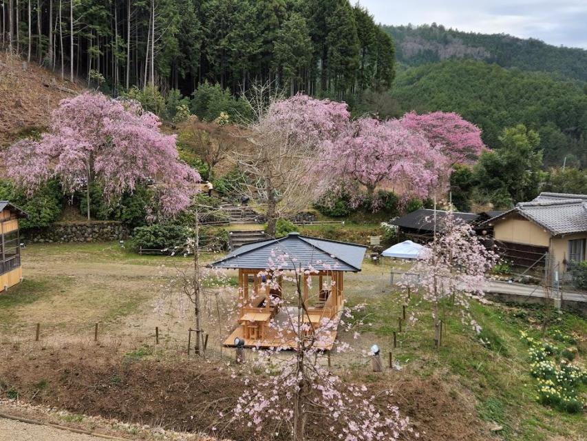 宝泉寺の春の風景