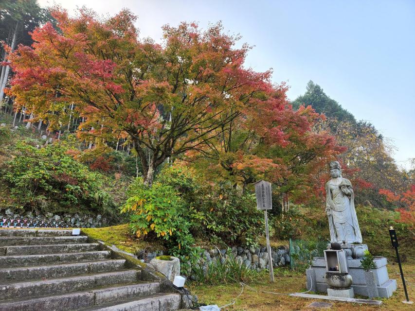 宝泉寺の秋の風景