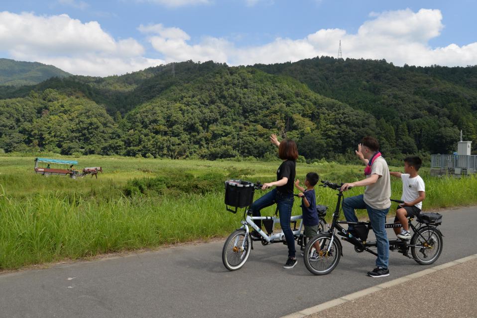 運が良ければ馬車と遭遇しますよ