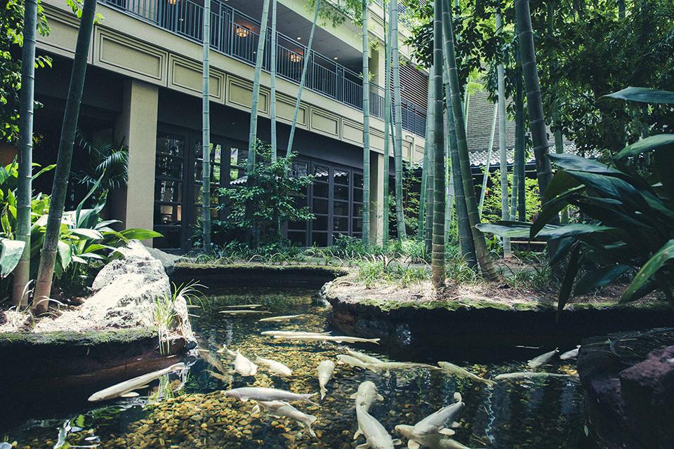 敷地の中心には京都らしい竹林の庭　一年を通して美しい緑をご覧いただけます