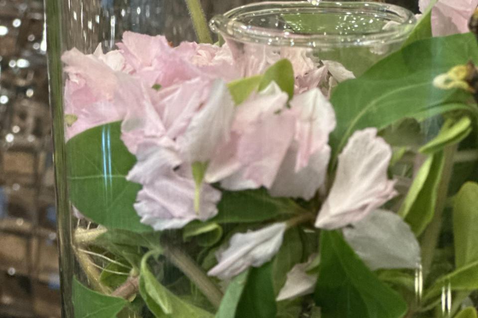 静かに蒸留が始まります