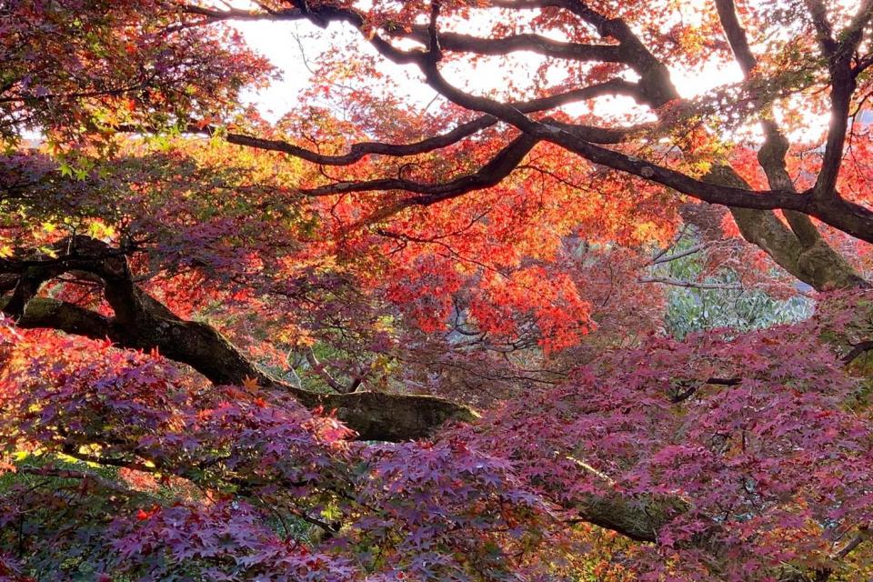 指定名勝廣誠院庭園の四季